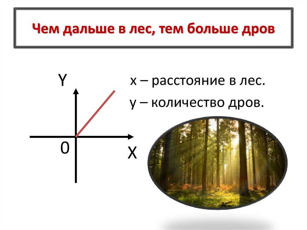 «чем дальше в лес, тем больше дров»: происхождение, значение пословицы