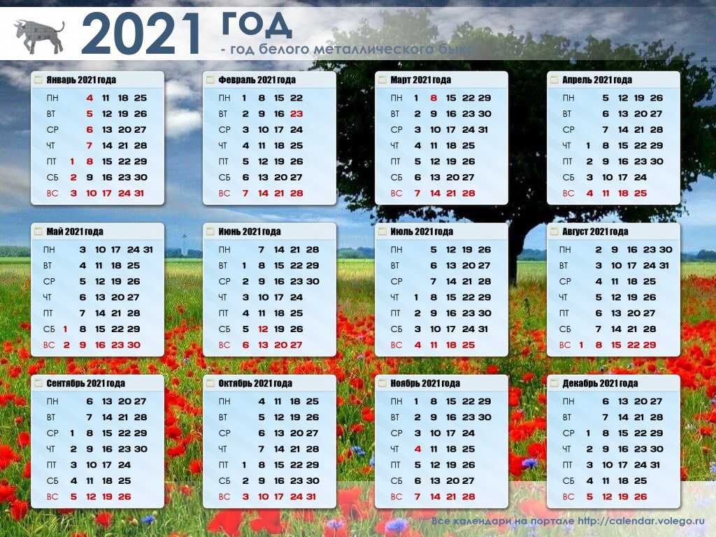 Февраль 21 календарь. Июнь 2021 года календарь. Календарь июль-август 2021. Календарь лето 2021. Календарь за прошлый месяц.
