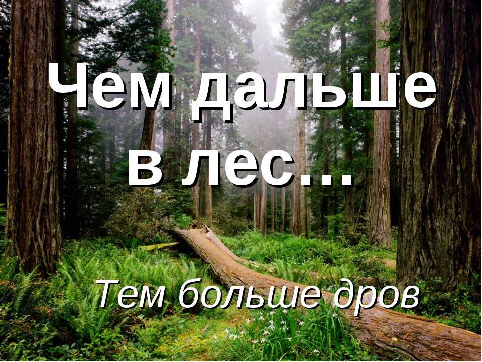 Значение пословицы «чем дальше в лес, тем больше дров»