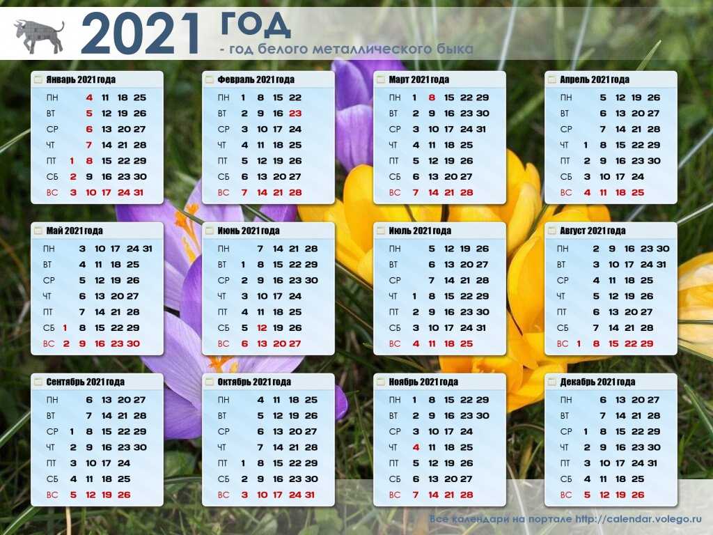 Сколько прошло с 31 января 2020 года. Календарь 2021 года. Календарь этого года. Календарь 2022. Номера недель 2021 год.